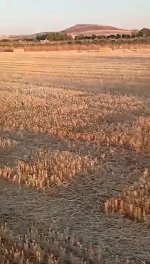 FINCA RUSTICA EN ALMAGRO, CIUDAD REAL, ESPAÑA