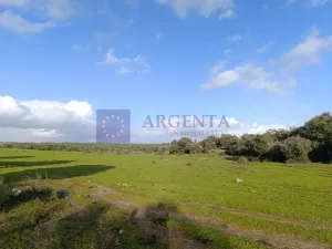 Finca Ganadera 190 ha en Cáceres