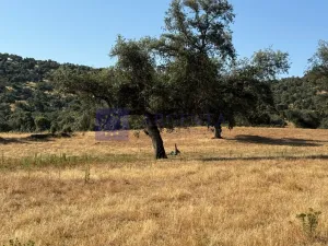 Finca 150 ha Navalmoral de la Mata