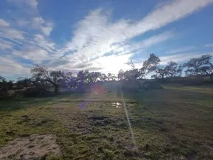 Finca Ganadera de 100 ha en Torrejoncillo