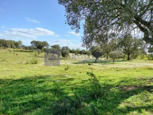 Finca Ganadera Membrío