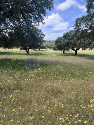 Finca en venta 80 ha zona Trujillo