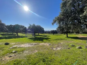 Se vende finca de 340 ha en Montánchez