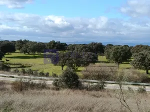 Se vende finca Ganadera 700 ha Navalmoral