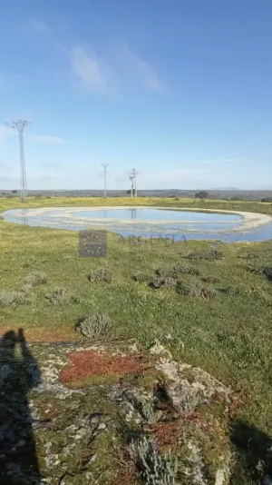 Finca Ganadera 120 ha en Cáceres
