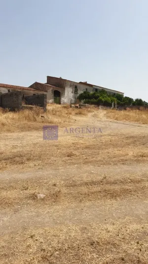 Finca Ganadera 600 ha Alcuéscar