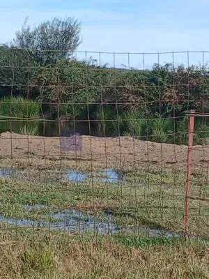 Se Vende Finca Regadío en Coria