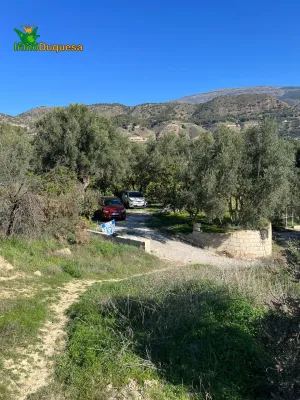 FINCA RÚSTICA PLENA PRODUCCIÓN EN VALLE DE LECRÍN