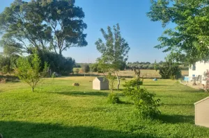 Finca ecuestre cerca de Cádiz en venta.