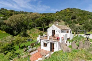 Villa de estilo rustico en Casares, parcela 30.000m