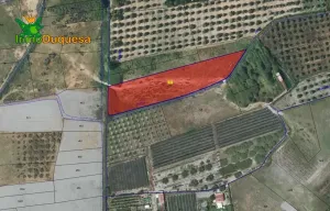 Finca rústica en Padul