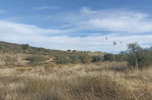 Venta finca rústica en Monterrubio La Serena