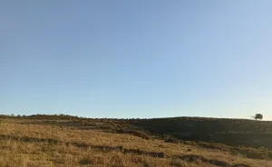 Venta finca rústica en Zufre