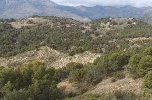 Finca Rústica en Huelma