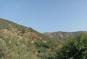 Finca Rústica en Málaga