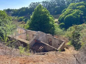 Finca en Moya - Las Palmas