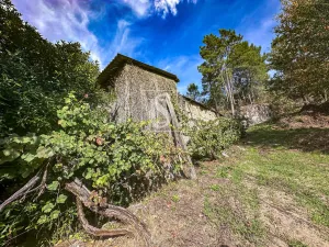 Finca en Porto - Amarante