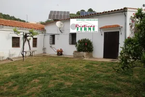 Finca de olivos ecológicos en Pozoblanco.