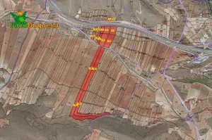 Finca con 3.300 olivos en Cozvijar.