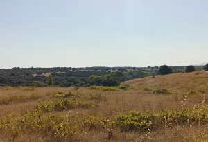 Finca Rústica en Santa Cruz de Retamar