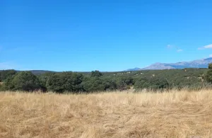 Finca Rústica en Colmenar Viejo
