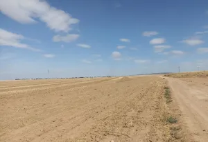 Finca Rústica en Albacete