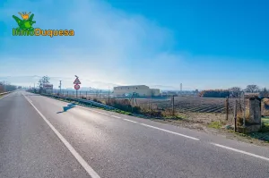 Finca rústica de regadío en la Vega de Granada. (Facil acceso a pie de ctra.)