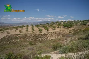 Terreno junto a nueva carretera Motril