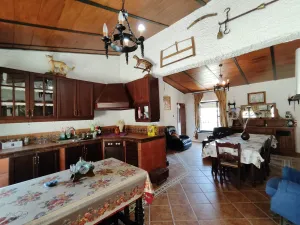 FINCA DE RECREO Y OLIVAR