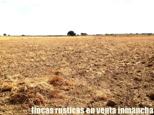 finca en venta 9 has labor regadío en Daimiel