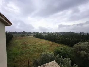 Finca rústica de 22ha con 3 viviendas, nave y zona agrícola en Camarles