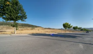 FINCA RÚSTICA EN  DILAR.