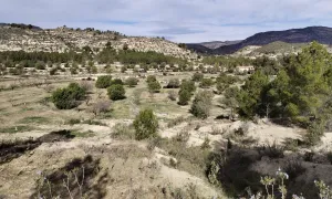 Preciosa finca rústica con excelente potencial en Relleu