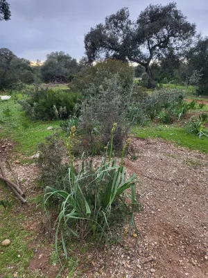 Se vende finca con vistas increíbles