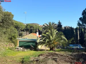 🌟 ¡Espectacular Finca en Zalamea la Real, Huelva! 🌟