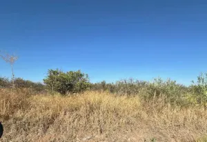 Finca de Regadío en Carmona