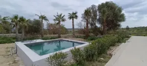 Finca única en Montuïri: 31,7 acres exclusivos y plantación de Olivos con rentabilidad