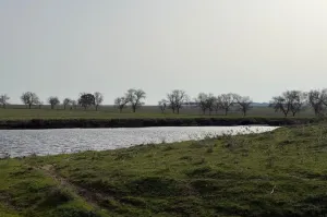 FINCA GANADERA Y DE CULTIVO CERCA DE CÁCERES
