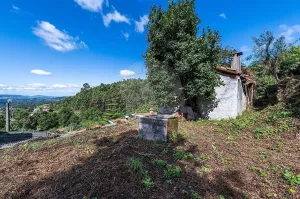 Finca Bouro - Vilela - Caires