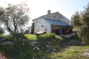 VENTA DE FINCA OLIVAR Y MONTE EN JAÉN