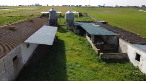 se vende o alquila finca de 1,5 hectarea