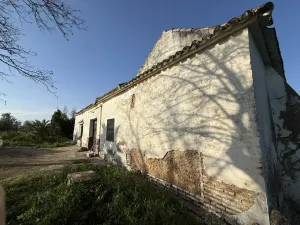 FINCA RÚSTICA PRODUCTIVA EN CAMPIÑA ECIJANA