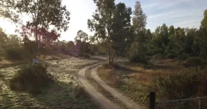 Finca de 159 ha en Doñana /Coto privado