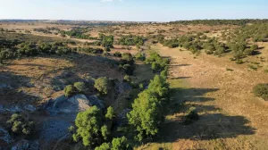 Finca Rústica en Pizarral, Salamanca