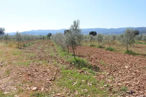 Venta de casa rústica en CR-7131, 1 km