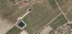 Explotación agropecuaria en producción de 21h