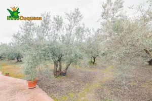 Finca rústica en OGIJARES (Incluye MOBILE HOME)