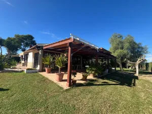 Finca en Dolores - Alicante