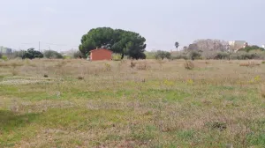 Finca rústica en venta en Constanti