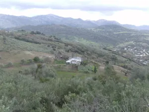 Se vende bonita finca